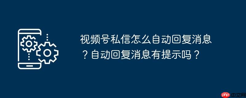视频号私信怎么自动回复消息？自动回复消息有提示吗？