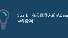 Spark: Remove columns from beans before partition writing