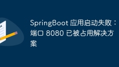 SpringBoot application startup failed: Port 8080 has been occupied Solution