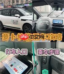 萝卜快跑如何下单打车