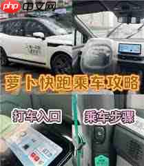 萝卜快跑如何下单打车