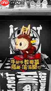 labubu隐藏款是什么名字