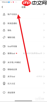 Soul无法修改兴趣标签怎么办