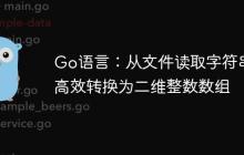 Go语言：从文件读取字符串并高效转换为二维整数数组