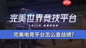 在完美电竞平台如何查战绩