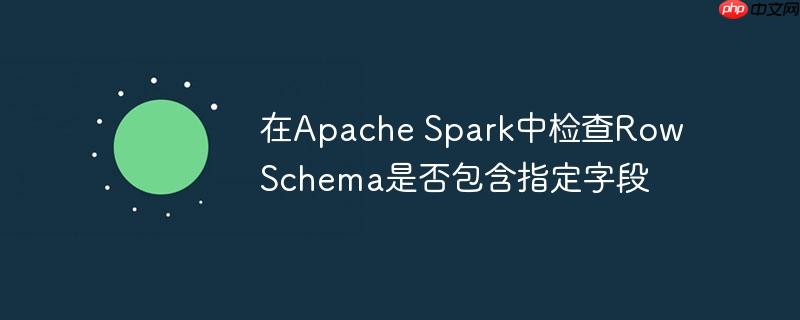 在Apache Spark中检查Row Schema是否包含指定字段-小浪学习网
