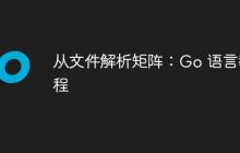从文件解析矩阵：Go 语言教程