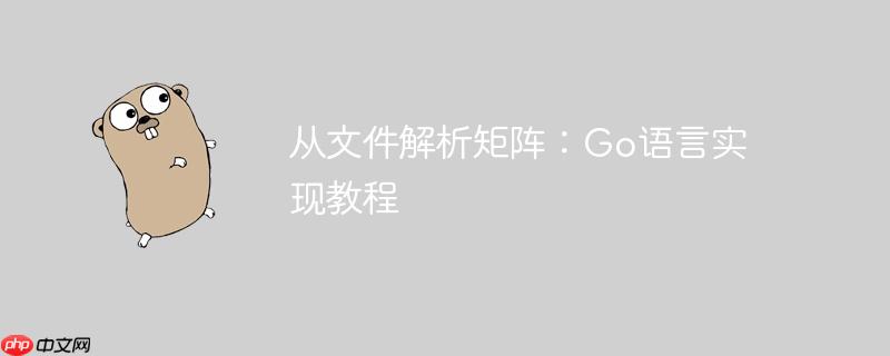 从文件解析矩阵：Go语言实现教程-小浪学习网