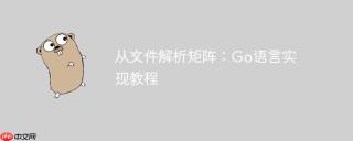 从文件解析矩阵：go语言实现教程