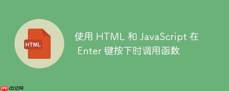 使用 html 和 javascript 在 enter 键按下时调用函数