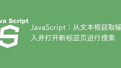 JavaScript : 텍스트 상자에서 입력을 받고 검색을위한 새 탭 페이지를 엽니 다.