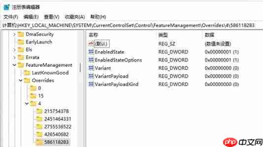 Win11搜索栏不能输入怎么办？Win11搜索栏不能输入的解决方法-小浪学习网