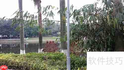 网络游戏入门指南