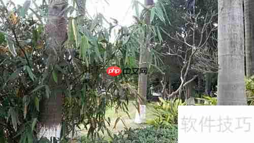 网络游戏入门指南