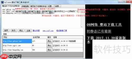 IIS7整站下载器扒站优势