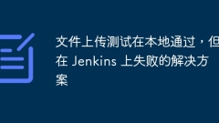 File upload test passed locally but failed on Jenkins