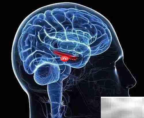 网络游戏的益处与价值