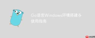 Go语言Windows环境搭建与使用指南