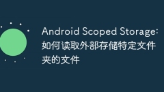 Android Scoped Storage: How to read files in specific folders with external storage