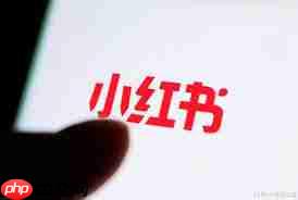 小红书举报成功后对方会受到什么惩罚