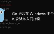 Go 语言在 Windows 平台上的安装与入门指南