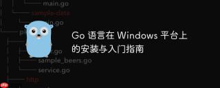 Go 语言在 Windows 平台上的安装与入门指南