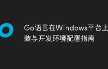 Go语言在Windows平台上的安装与开发环境配置指南
