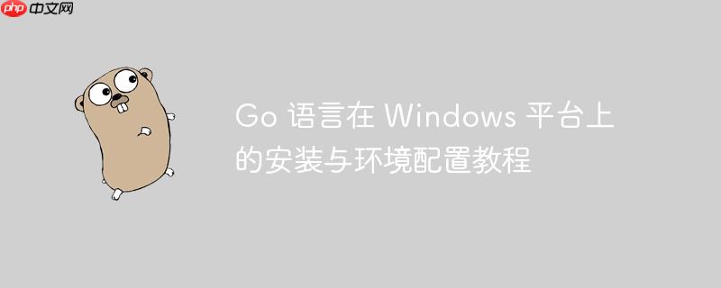 Go 语言在 Windows 平台上的安装与环境配置教程