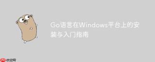 Go语言在Windows平台上的安装与入门指南