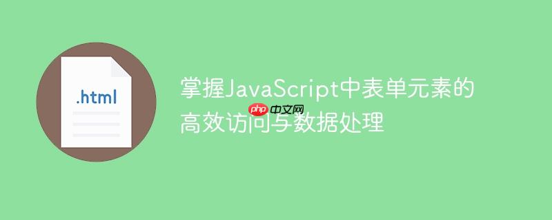 掌握JavaScript中表单元素的高效访问与数据处理
