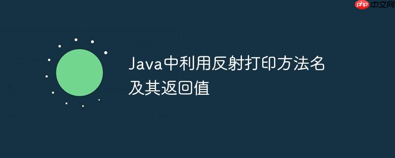 Java中利用反射打印方法名及其返回值