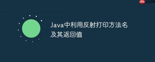 Java中利用反射打印方法名及其返回值