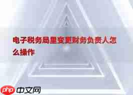 电子税务局如何变更财务负责人