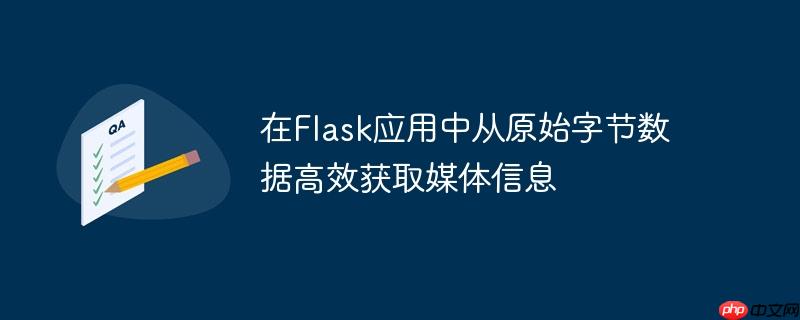 在Flask应用中从原始字节数据高效获取媒体信息
