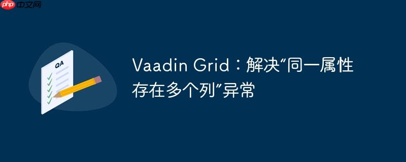 Vaadin Grid：解决“同一属性存在多个列”异常-小浪学习网