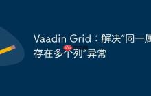 Vaadin Grid：解決“同一屬性存在多個(gè)列”異常