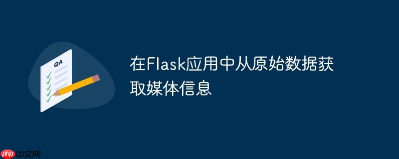 在Flask应用中从原始数据获取媒体信息
