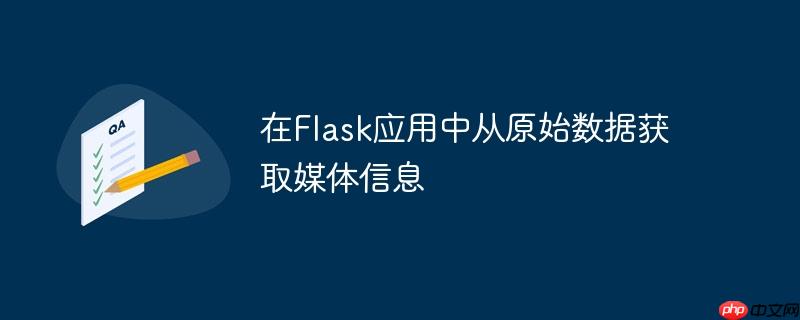 在Flask应用中从原始数据获取媒体信息