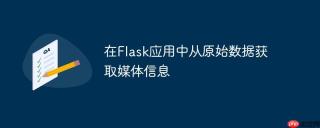 在Flask应用中从原始数据获取媒体信息