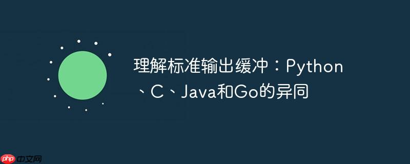 理解标准输出缓冲：Python、C、Java和Go的异同-小浪学习网