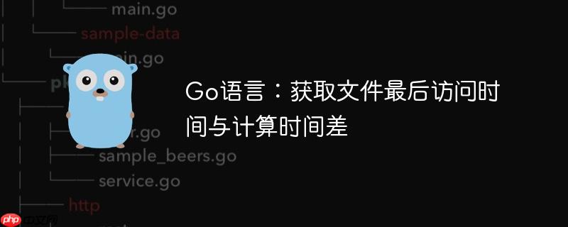 Go语言:获取文件最后访问时间与计算时间差