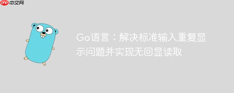 Go语言：解决标准输入重复显示问题并实现无回显读取-小浪学习网