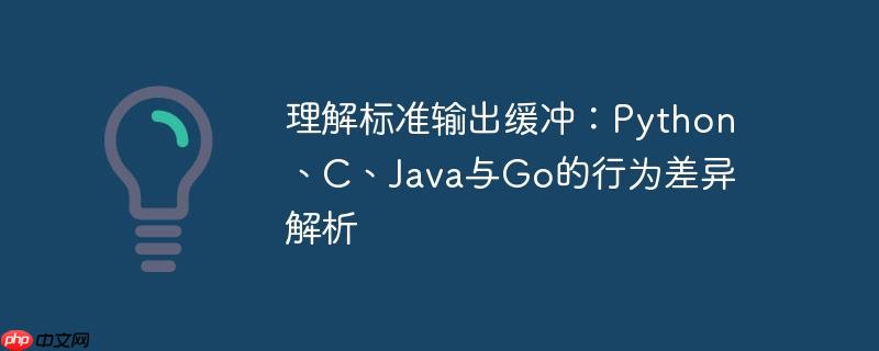 理解标准输出缓冲：Python、C、Java与Go的行为差异解析-小浪学习网