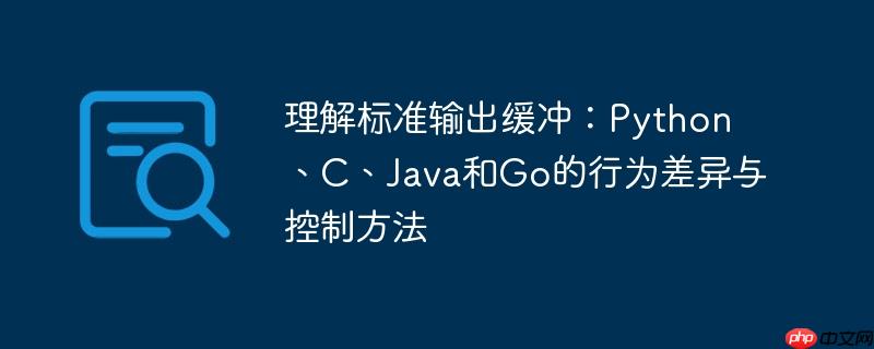 理解标准输出缓冲：Python、C、Java和Go的行为差异与控制方法