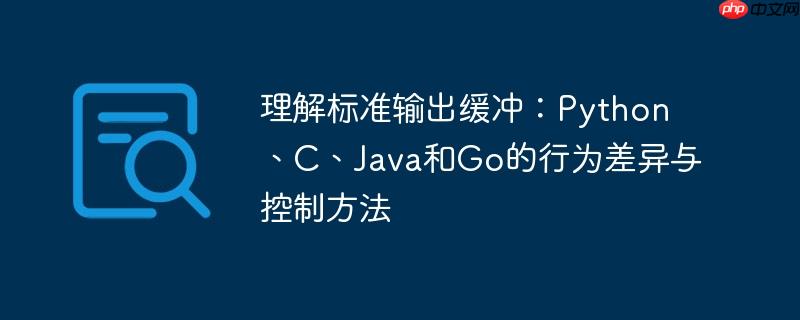 理解标准输出缓冲：Python、C、Java和Go的行为差异与控制方法-小浪学习网