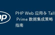 PHP Web 应用与 Tally Prime 数据集成策略指南