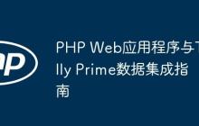 PHP Web应用程序与Tally Prime数据集成指南