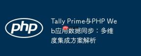 Tally Prime与PHP Web应用数据同步：多维度集成方案解析
