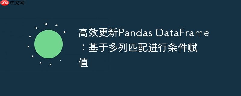 高效更新Pandas DataFrame：基于多列匹配进行条件赋值
