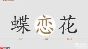 华康行楷体w5免费下载：官方正版安装教程与使用指南